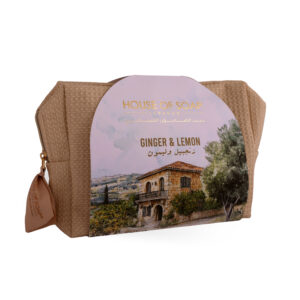 Ginger & Lemon Travel Kit